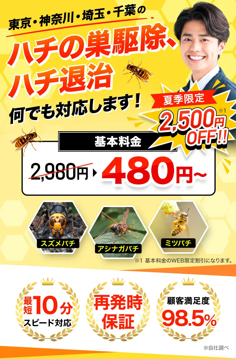 東京・神奈川・埼玉・千葉のハチの巣駆除 ハチ退治、即日解決します！基本料金500円～＋駆除費用今だけWEB割引 2,000円OFF！ハチ駆除・ハチ撃退・ハチ退治・ハチの巣駆除・ハチの巣退治・ハチの巣撤去・ハチの巣除去・ハチの巣処理・蜂駆除・蜂撃退・蜂退治・蜂の巣駆除・蜂の巣退治・蜂の巣撤去・蜂の巣除去・蜂の巣処理
